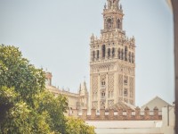 1780991453_elf-sevilla-457.jpg